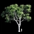 Eucalyptus 8 - Durable and Versatile Polys 3D model small image 1