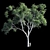 Eucalyptus 9 - Ultimate Polys:1,500,117 3D model small image 1