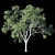 Eucalyptus 9 - Ultimate Polys:1,500,117 3D model small image 2