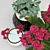 Tropical Duo: Kalanchoe & Fittonia 3D model small image 2