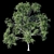 Eucalyptus 10- Polys: 1 476 579 3D model small image 2