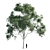 Eucalyptus 10- Polys: 1 476 579 3D model small image 5