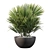 Charming Chamaerops Palm - Exquisite 3D Greenery 3D model small image 1