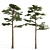 Nature's Duo: Two Majestic Pines 3D model small image 2