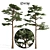 Pair of Majestic Pines 3D model small image 1