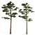 Pair of Majestic Pines 3D model small image 2