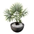 Lush Palm Tree 3D Model 3D model small image 4