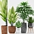 204 Plants: Aspidistra, Raphis Palm, Agave Angustifolia, Grass Plant 3D model small image 1