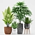 204 Plants: Aspidistra, Raphis Palm, Agave Angustifolia, Grass Plant 3D model small image 2