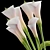 Elegant Calla Lily Decor Set 3D model small image 5