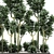 Tropical Plant Collection: Exotic Dracena Compacta in White Pots 3D model small image 4