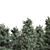  Majestic Pine Trees - Various Heights 3D model small image 2