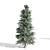  Majestic Pine Trees - Various Heights 3D model small image 4