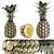 Tropical Pineapple Fruit Collection 3D model small image 2