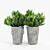 Modern Ring Planter Set 3D model small image 4