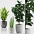 207 Greenery: Aspidistra, Rubber & Sansevieria 3D model small image 1