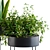 Sleek Black Planter Box 3D model small image 2