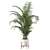 Tropical Paradise: Areca Palm 3D model small image 2