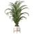 Tropical Paradise: Areca Palm 3D model small image 3