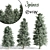 Tall Pine Trio: 8.7m, 7.4m & 5.6m 3D model small image 1