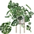 Tropical Monstera Monkey Mask: Stunning 3D Plant 3D model small image 1