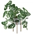 Tropical Monstera Monkey Mask: Stunning 3D Plant 3D model small image 3