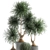 Exotic Indoor Plant Collection 3D model small image 3