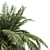 Tropical Palm Collection: PALM1-4 3D model small image 5