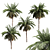 Tropical Palm Collection: PALM1-4 3D model small image 7