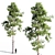 Tall Scots Pine Tree, 18m 3D model small image 1