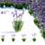 Vibrant Bearded Iris | Germanica Iris 3D model small image 1