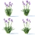 Vibrant Bearded Iris | Germanica Iris 3D model small image 2