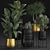 Tropical Indoor Plant Collection 3D model small image 1