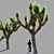  Joshua Tree Collection: 5 Varied Trees 3D model small image 3