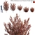 Dodonaea Viscosa Bush | 3D Model 3D model small image 1