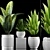 Exotic Plant Collection Set 3D model small image 1