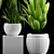 Exotic Plant Collection Set 3D model small image 4