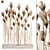 7 Stems Pampas Grass Bunch 3D model small image 6