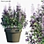 Mona Lavender: Versatile Pot Plant 3D model small image 1