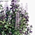 Mona Lavender: Versatile Pot Plant 3D model small image 2