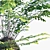 Kokedama Branches: Natural Living Décor 3D model small image 2