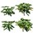 Tropical Monstera Tree: Philodendron Safari 3D model small image 1