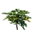 Tropical Monstera Tree: Philodendron Safari 3D model small image 3