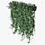 Lush Ivy in Pot 14 3D model small image 2
