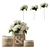 Changing Vase: White Hydrangea Elegance 3D model small image 1