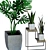 Indoor Plant Collection - Refresh Your Space 3D model small image 2