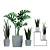 Indoor Plant Collection - Refresh Your Space 3D model small image 4