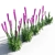 Colorful Liatris Spicata Variations 3D model small image 2