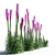 Colorful Liatris Spicata Variations 3D model small image 3