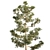 Mast Pine Options: Premium 3D Model. 3D model small image 2